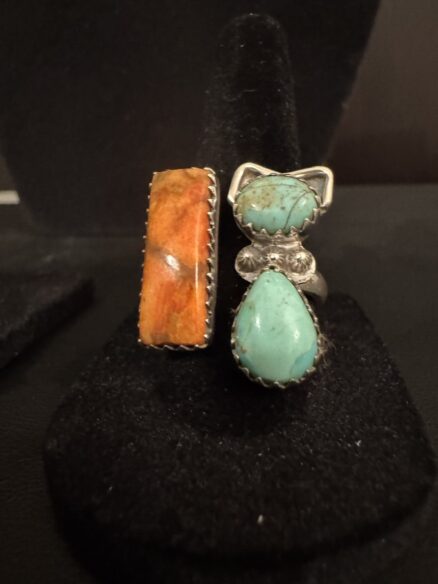 Beautiful turquoise and desert, Jasper cat and rectangular bypassing set in a sleek sterling silver